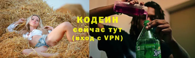 где купить наркоту  Чебоксары  Кодеин напиток Lean (лин) 