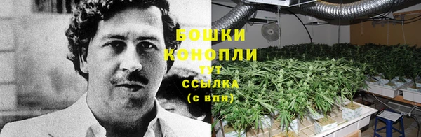 COCAINE Вяземский